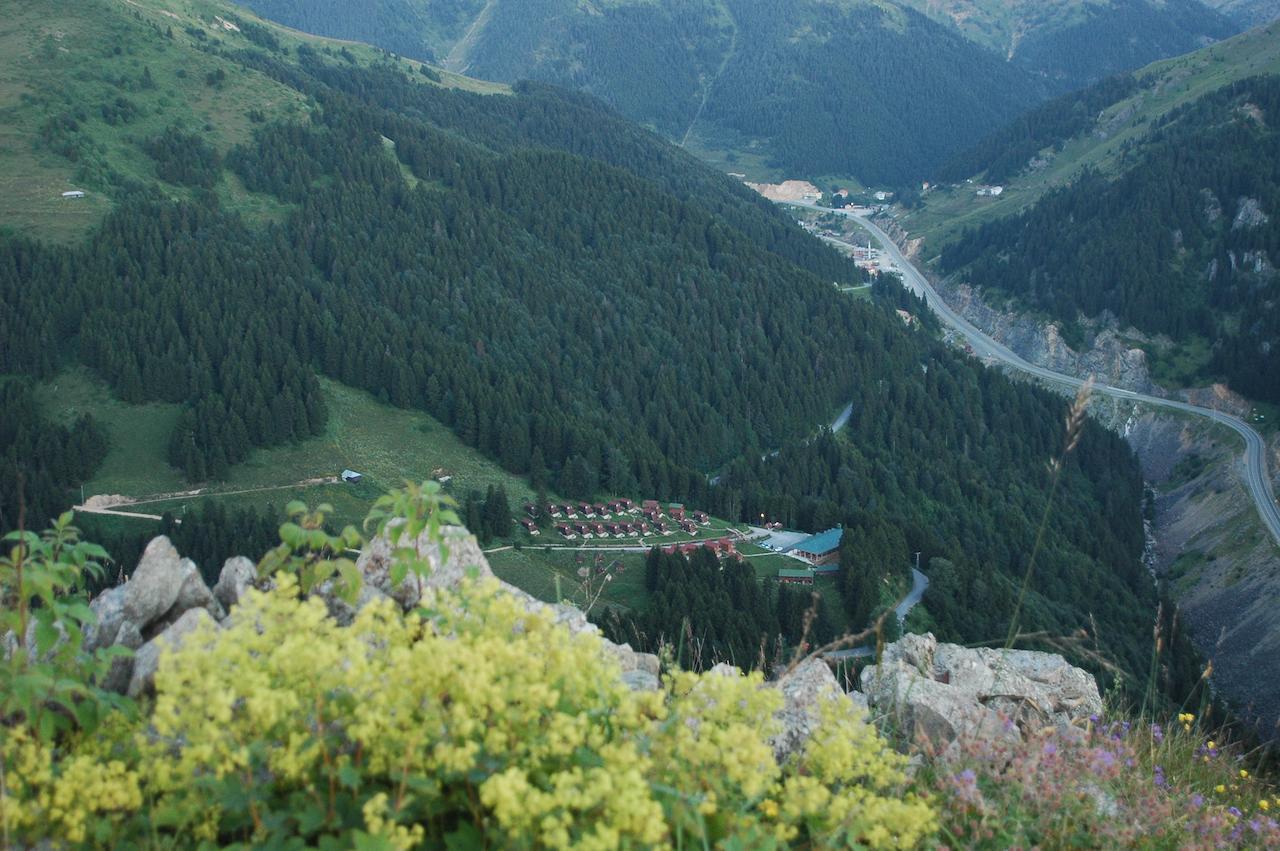 Zitas Zigana Yayla Tatil Koyu Macka Buitenkant foto