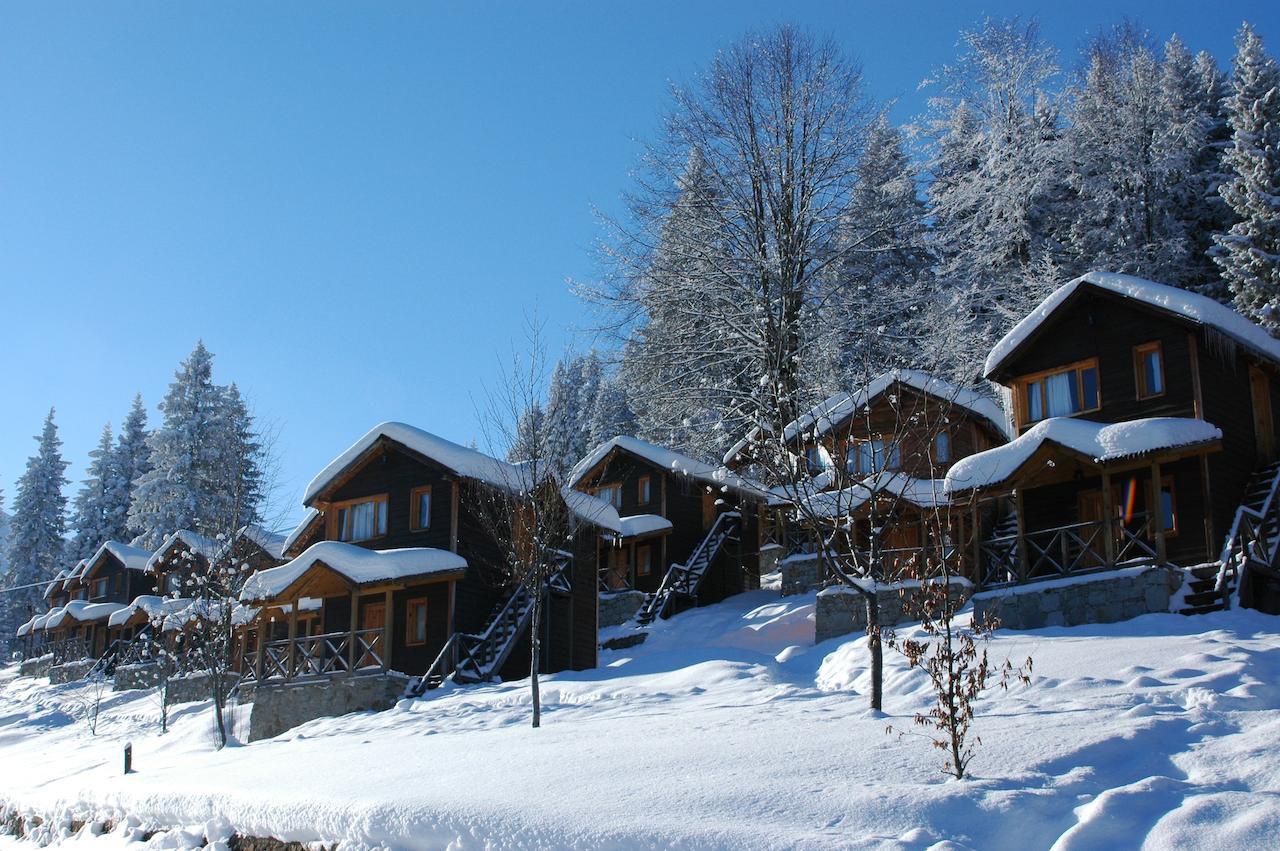 Zitas Zigana Yayla Tatil Koyu Macka Buitenkant foto