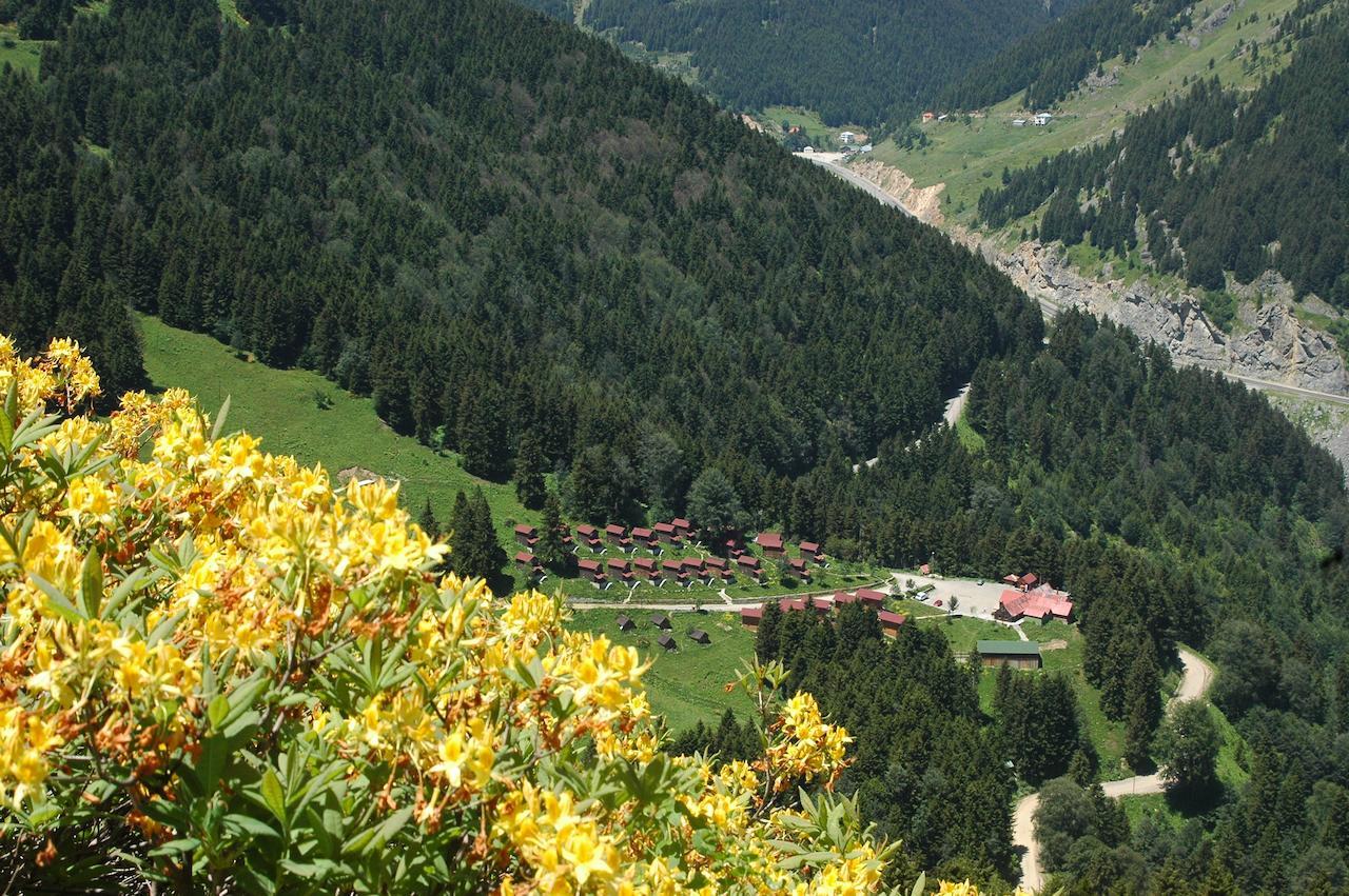 Zitas Zigana Yayla Tatil Koyu Macka Buitenkant foto