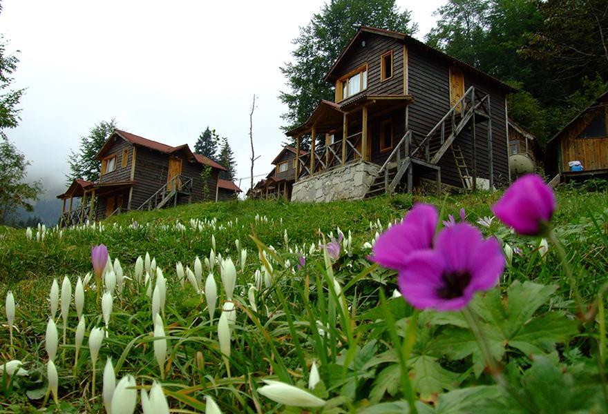 Zitas Zigana Yayla Tatil Koyu Macka Buitenkant foto