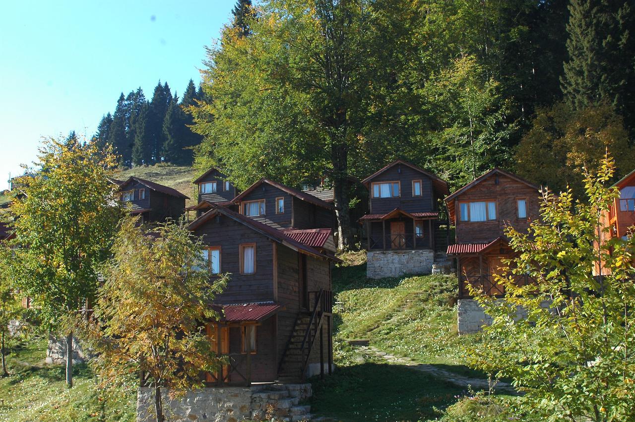 Zitas Zigana Yayla Tatil Koyu Macka Buitenkant foto