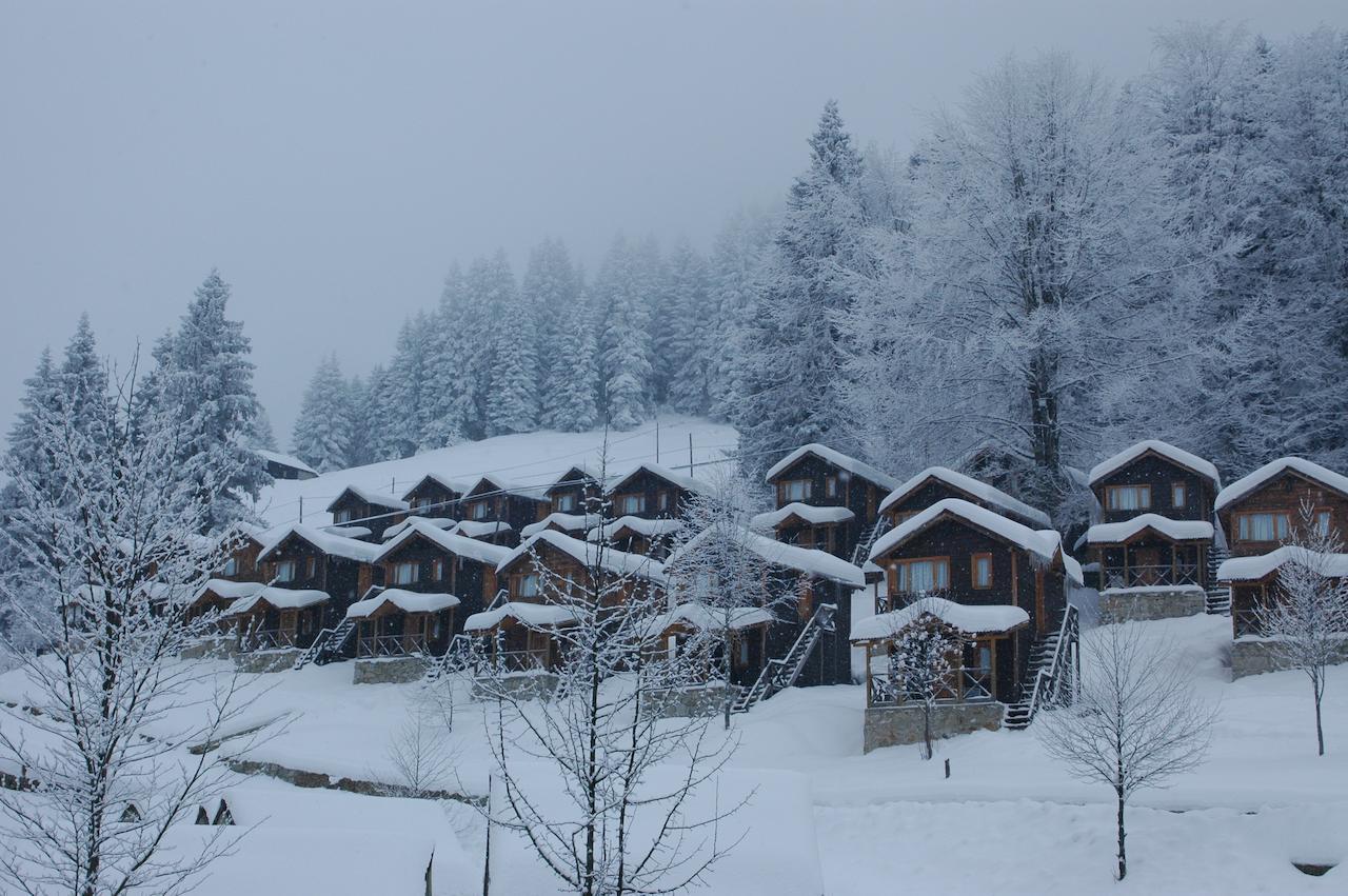 Zitas Zigana Yayla Tatil Koyu Macka Buitenkant foto