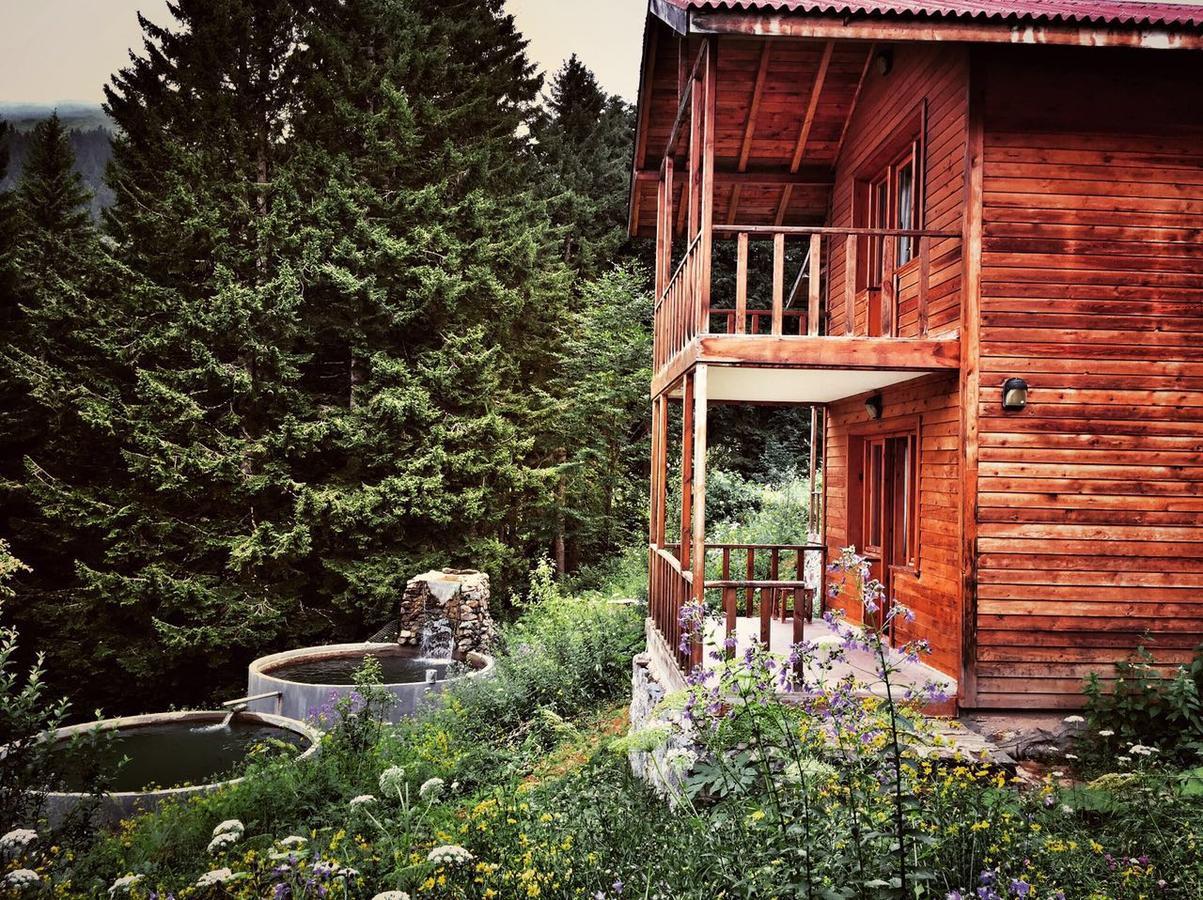 Zitas Zigana Yayla Tatil Koyu Macka Buitenkant foto