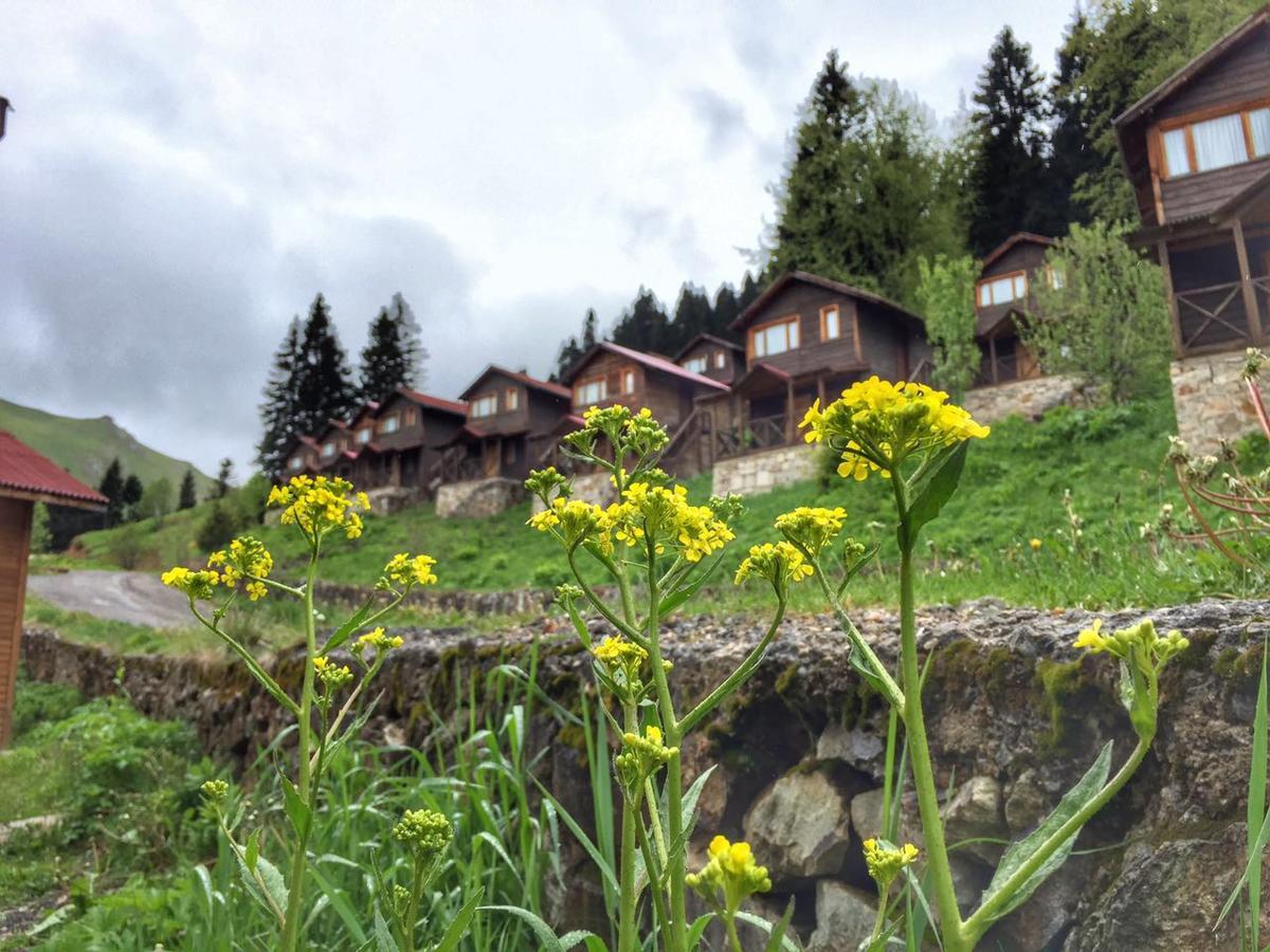 Zitas Zigana Yayla Tatil Koyu Macka Buitenkant foto